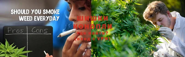 спиды Аркадак