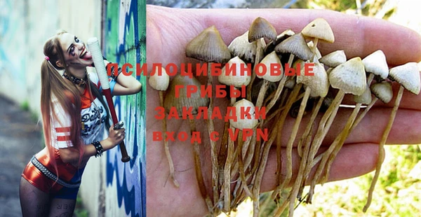 спиды Аркадак