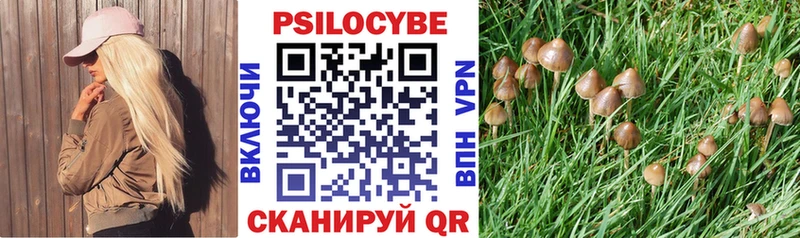 Галлюциногенные грибы ЛСД  Щигры 
